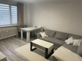 Apartament 2 pokojowy w centrum miasta